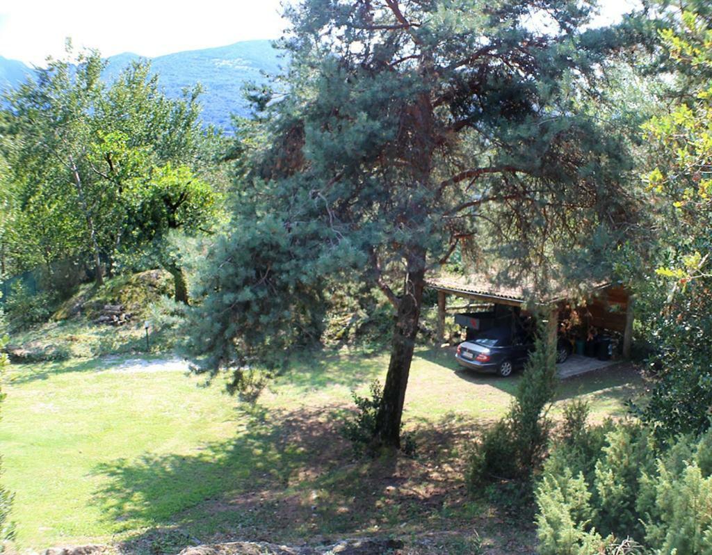 Villa Erica Con Piscina Privata Sul Lago Di Como كوليكو المظهر الخارجي الصورة